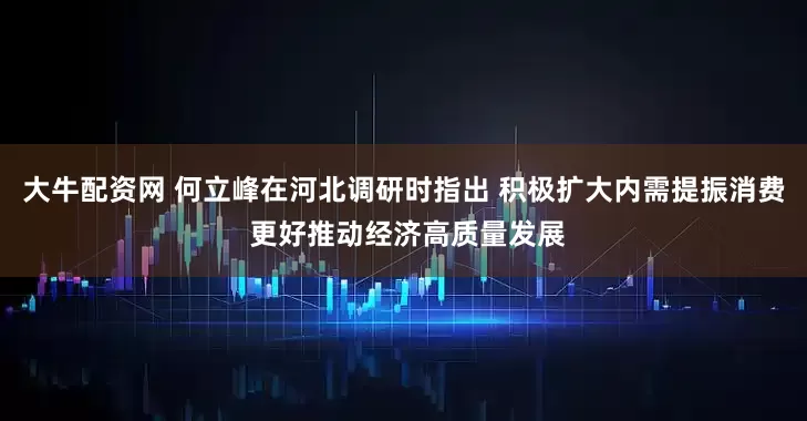 大牛配资网 何立峰在河北调研时指出 积极扩大内需提振消费 更好推动经济高质量发展