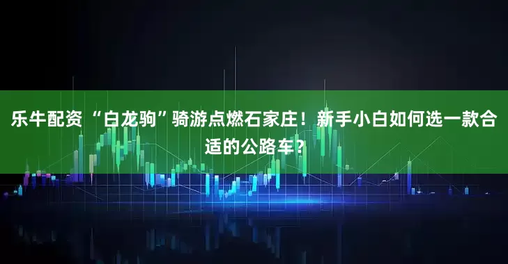 乐牛配资 “白龙驹”骑游点燃石家庄！新手小白如何选一款合适的公路车？