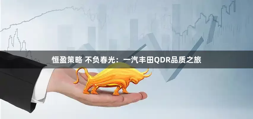 恒盈策略 不负春光：一汽丰田QDR品质之旅