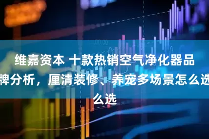 维嘉资本 十款热销空气净化器品牌分析，厘清装修、养宠多场景怎么选